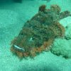 marsa2009_113